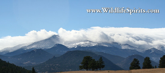 Click Picture to send as an  E-PostCard 65k 550x243